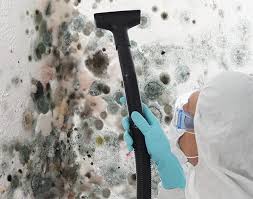 Mold Documentation for Insurance Claims in South Sarasota, FL